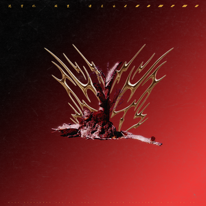 看黄王网址在线观看
