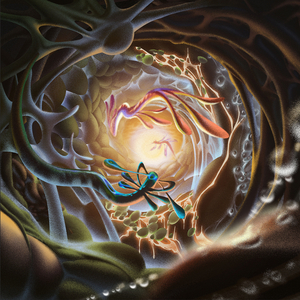 看黄王网址在线观看
